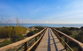 Arenales